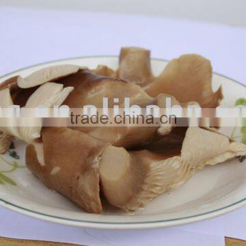 Canned Oyster Mushroom,canned mushroom,canned vegetable