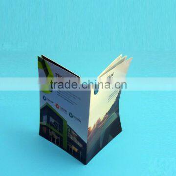 Brochure book, brochure printing, booklet printer