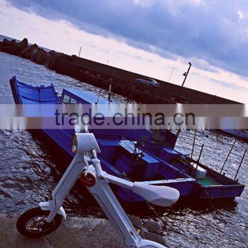 Top Quality Best Sell Adult Electric Bike Scooter photo-5