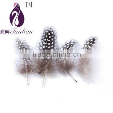 natural pearl chicken feathers,guinea fowl feather trim                        
                                                Quality Choice