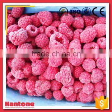 Frozen Red Sweet Raspberry From China