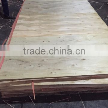 eucalyptus plywood for packing