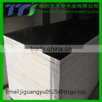 Veneer Boards Plywood Birch Veneer Plywood Film Faced Plywood 6-18mm photo-5