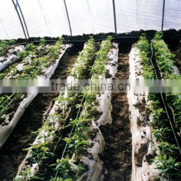 Greenhouse Equipment Irrigation System