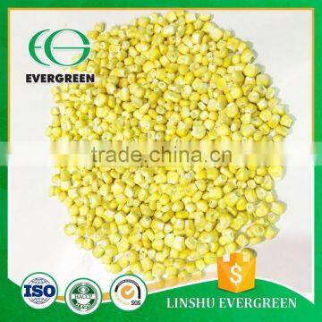 wholesale organic freeze dried sweet corns                        
                                                                                Supplier's Choice