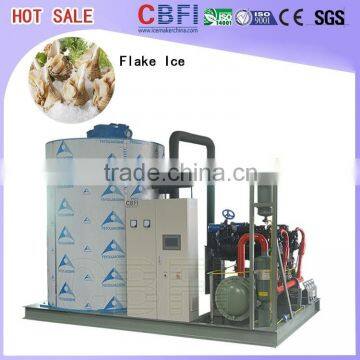 Monzambique Industrial Ice Flake Machine Customer Case photo-3