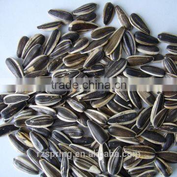 SUNFLOWER SEED ,SUNFLOWER SEED KERNLES photo-5