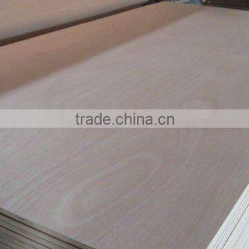 Hot Sell Furniture /Packing Plywood