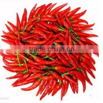 HX manufacturer supply high quality Capsaicin power with good Price