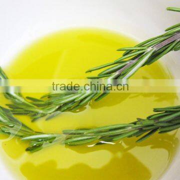 100%Pure Natural Rosemary Oil For Export Only photo-4