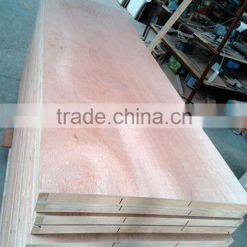 BAODU BRAND Hot Sale Okoume Plywood Flush Panel Door photo-2