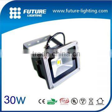 CE RoHS EMC color changing IP65 outdoo 30W led christmas lights projector