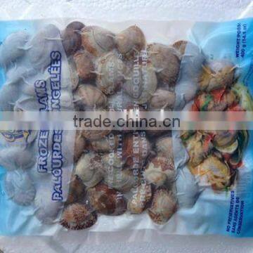 hot sale frozen shell whole baby clam