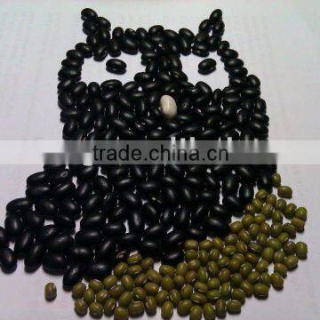 Black Kidney Bean( 2011 crop, hps, grade 1. Heilongjiang origin)