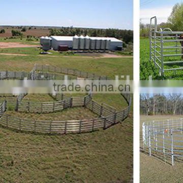 Factory direct sold Australia standard horse /cattle/Sheep(goat) panels