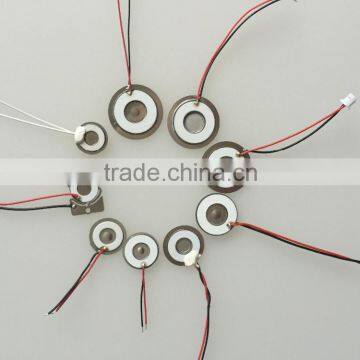 Different Sizes Piezo Ceramic Element Ultrasonic PZT Material Manufacturer photo-6