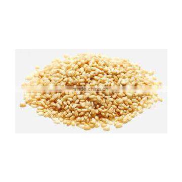 Premium Quality Sesame Seeds - Indian Origin