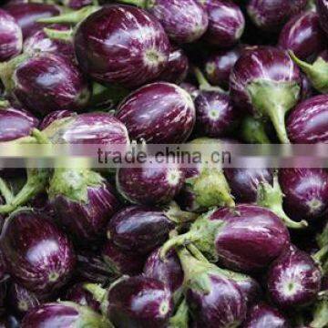 Brinjal Suppliers