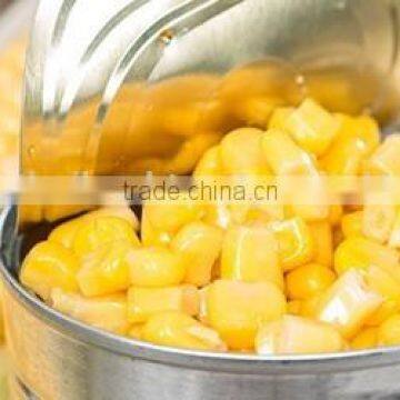 Canned Sweet Corn photo-4
