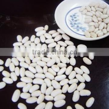 2013Crop Baishake White Kidney Beans