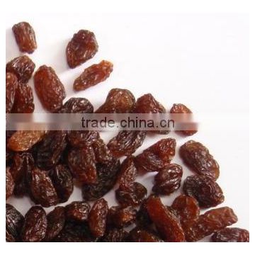 Dried Red Raisin