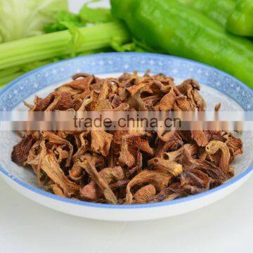 Natural Dried Chanterelle / Cantharellus Cibarius Wholesale Price photo-2