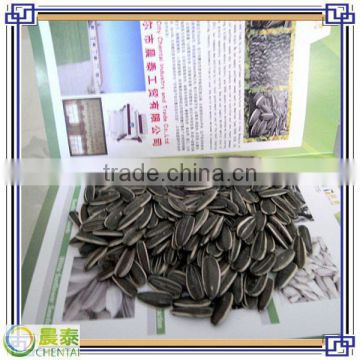 Hulled sunflower seeds for human eat