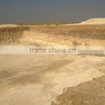 Diatomaceous Earth Powder photo-2