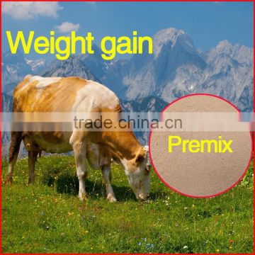 Cows weight gain (Traditional Chinese medicine)