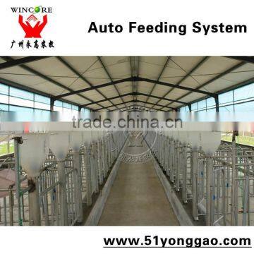 Auto Feeding System for Pig Farm