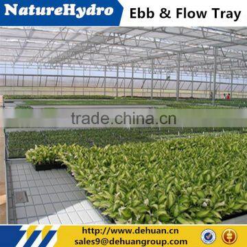 Hydroponic plastic tray wholesale plastic tray for vegetable