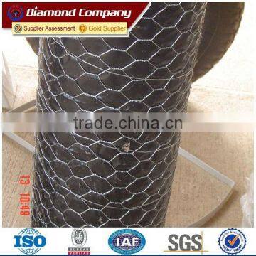 Galvanized and PVC Coated 1 2 inch poultry netting/3 4 inch chicken wire/hex netting for fishing or animals