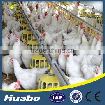 Top Quality Poultry Feeds Breeder Chicken Feeding Pan