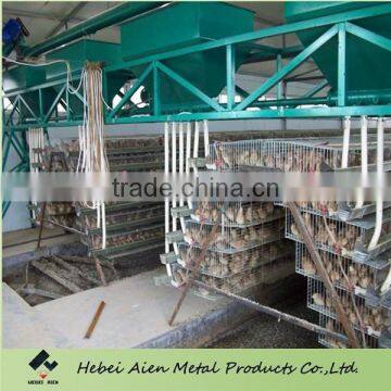 farming breeding chicken automatic machine