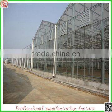 Hot Sale 10.8m Multi-span Venlo Glass Greenhouse Grow Tent for Agriculture photo-5