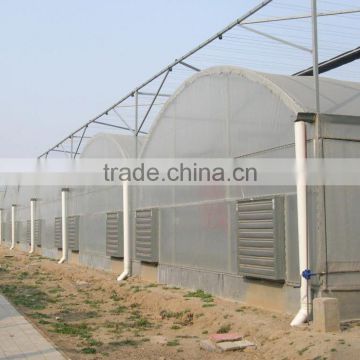 The sunlight greenhouse ecological agriculture