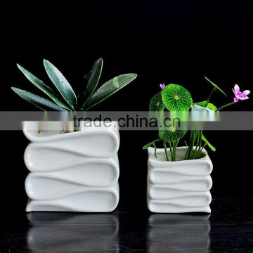 New design small indoor decor white ceramic succulent pots mini