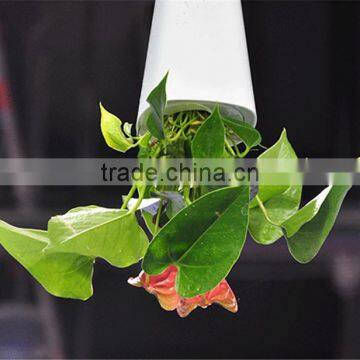 Creative Flower Pot Plastice Sky Planter Mini Sky Garden Hang Suspended Decorative Sky Planter New Design Indoor Sky Planter photo-5