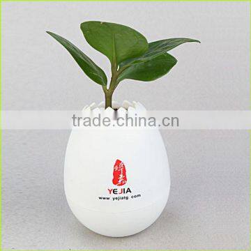 Hot Sales 9 Colorful Promotional Gift Items/ABS Plastic Pot Without Drainage Holes