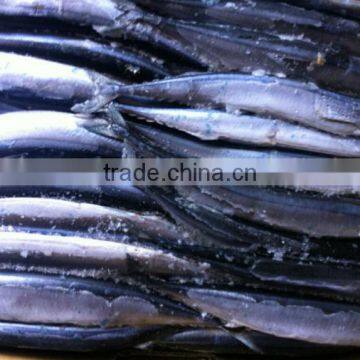 new catching sea frozen sanma 1# 130-150g