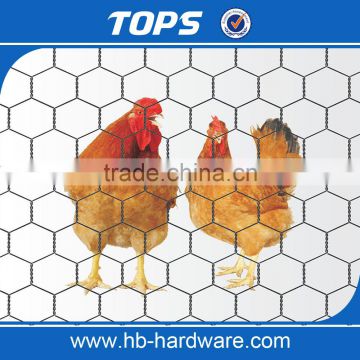 Best Price Hexagonal Wire Netting PVC Coated