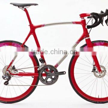 Belt drive bike B-2 Stealth and Strategic Bomber