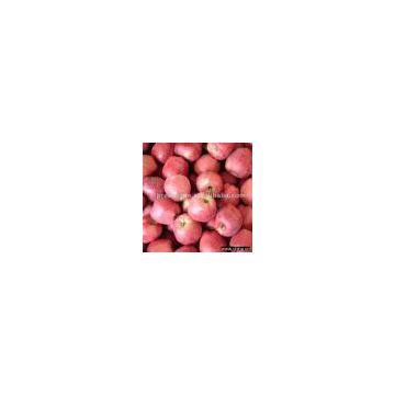 Sell Fresh Huaniu Apple