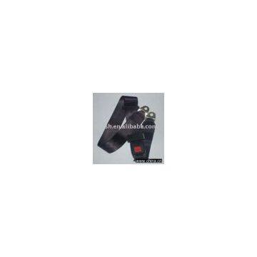 seat belt(automobile,safety)