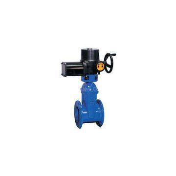 Electro Wedge Gate Valve