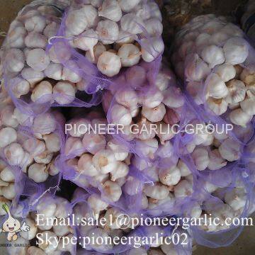 5.5cm Normal White Garlic Loose Packing In 10kg Mesh Bag photo-3