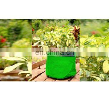 5 gallon grow bag or other size garden grow bags for agriculture and home use