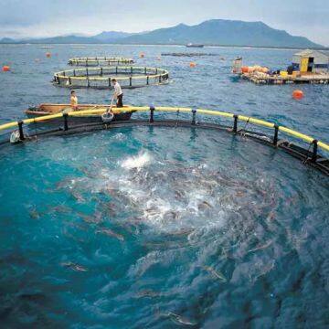 Anti Stormy Waves Floating Cage Fish Farming Hdpe Material
