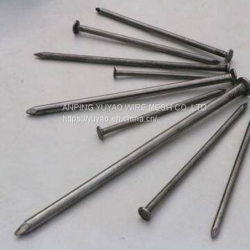 zinc plated polished common wire round nail