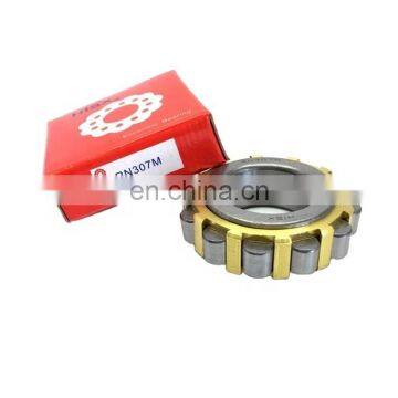 RN309M RN209M Cylindrical Roller Bearing  NTN NSK bearing